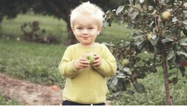 Enfant à Val-Belair qui mange une pomme d'un pommier planté par Emondage Val-Belair.